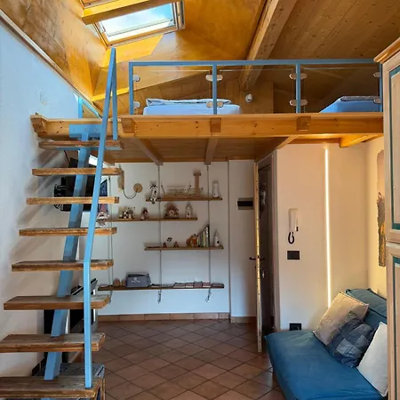 Apartment Cesa Mesa *